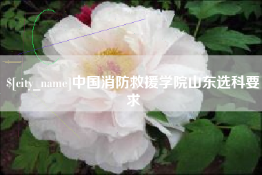 山东中国消防救援学院山东选科要求