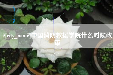 山东中国消防救援学院什么时候政审