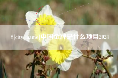 山东中国金牌是什么项目2024