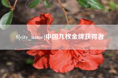 山东中国九枚金牌获得者