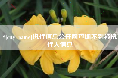 山东执行信息公开网查询不到被执行人信息