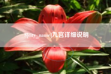 山东九宫详细说明