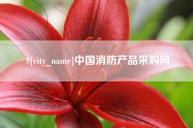山东中国消防产品采购网