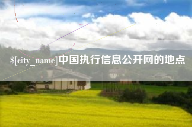 山东中国执行信息公开网的地点