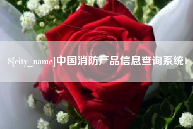 山东中国消防产品信息查询系统1