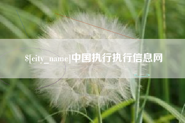 山东中国执行执行信息网