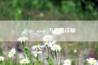 山东九宫格详解