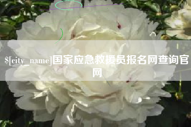 山东国家应急救援员报名网查询官网