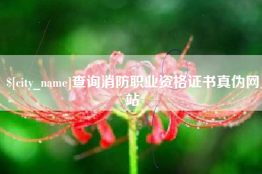 山东查询消防职业资格证书真伪网站