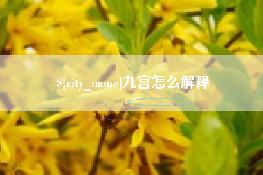 山东九宫怎么解释