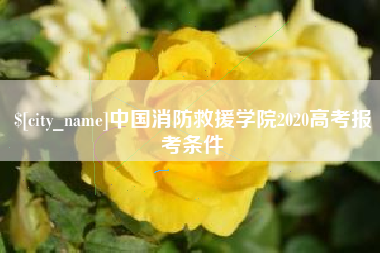 山东中国消防救援学院2020高考报考条件