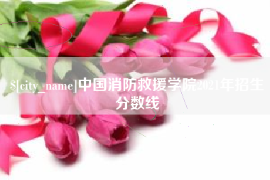 山东中国消防救援学院2021年招生分数线