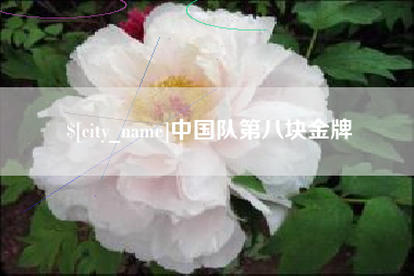 山东中国队第八块金牌