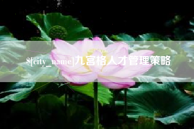 山东九宫格人才管理策略