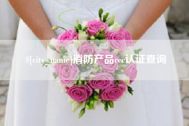 山东消防产品ccc认证查询