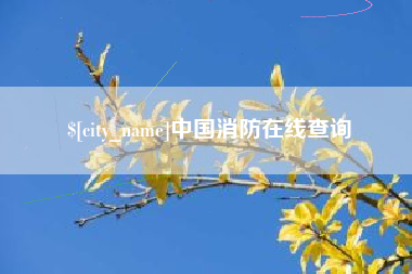 山东中国消防在线查询