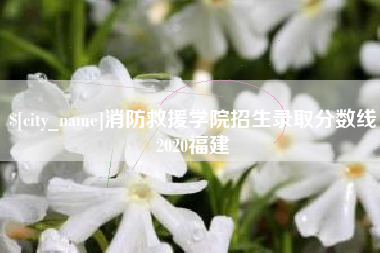 山东消防救援学院招生录取分数线2020福建