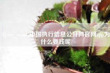 山东中国执行信息公开网官网app为什么要钱呢