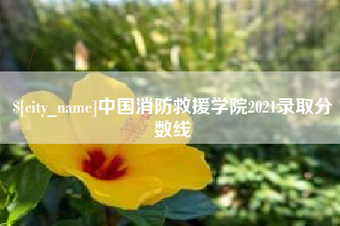 山东中国消防救援学院2021录取分数线