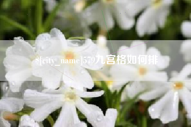 山东579九宫格如何排