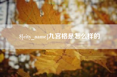 山东九宫格是怎么样的