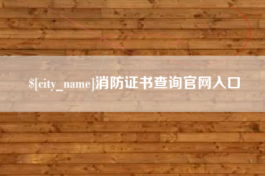 山东消防证书查询官网入口
