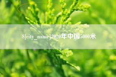 山东2020年中国5000米