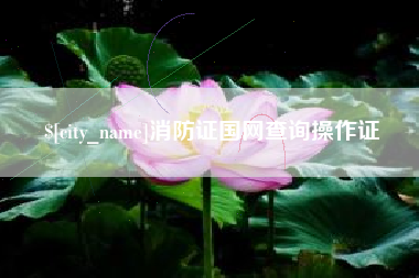 山东消防证国网查询操作证