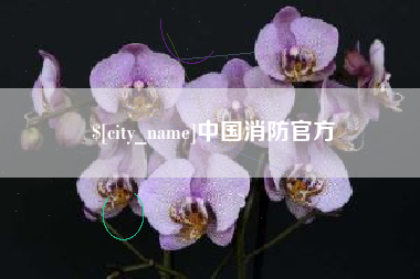 山东中国消防官方