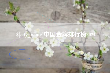 山东中国金牌排行榜2024