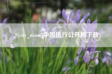 山东中国执行公开网下载