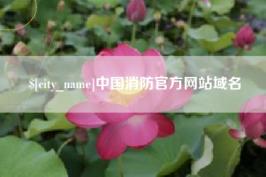 山东中国消防官方网站域名