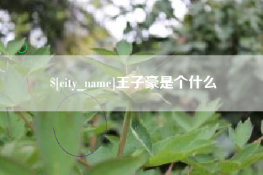 山东王子豪是个什么