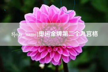 山东奥运金牌第二个九宫格