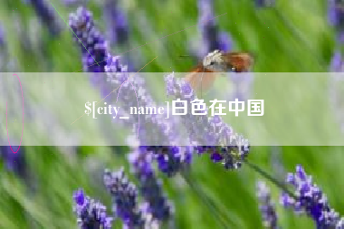 山东白色在中国