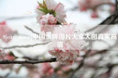 山东中国金牌图片大全大图真实高清