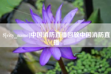 山东中国消防直播回放中国消防直播