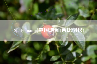 山东中国地图(含比例尺)