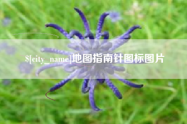 山东地图指南针图标图片