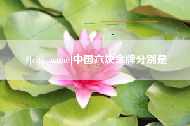 山东中国六块金牌分别是