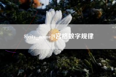 山东9宫格数字规律