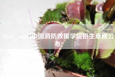 山东中国消防救援学院招生章程公布!
