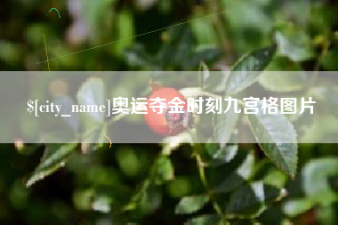 山东奥运夺金时刻九宫格图片