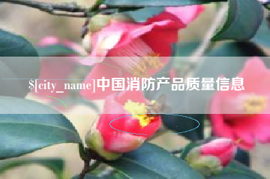 山东中国消防产品质量信息
