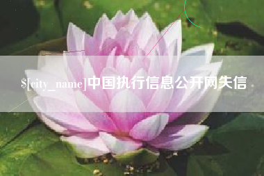山东中国执行信息公开网失信