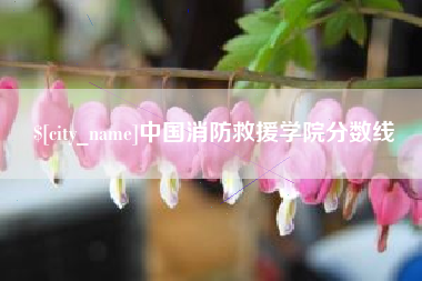 山东中国消防救援学院分数线