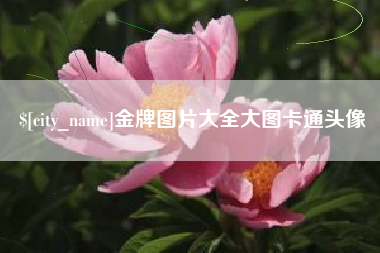山东金牌图片大全大图卡通头像