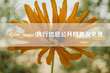 山东执行信息公开网查询免费