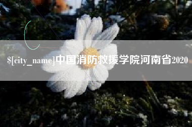 山东中国消防救援学院河南省2020